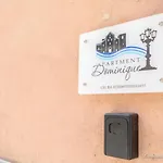 Dominique *